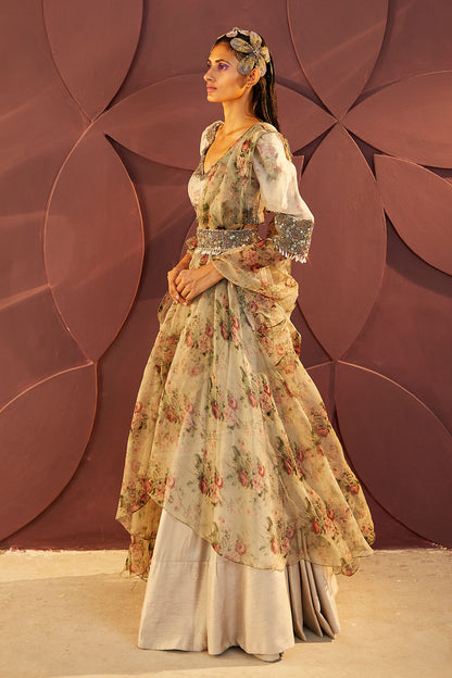 Argente Lehenga Set